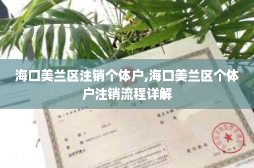 海口美兰区注销个体户,海口美兰区个体户注销流程详解
