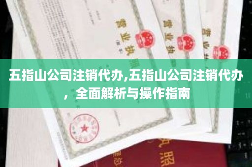 五指山公司注销代办,五指山公司注销代办，全面解析与操作指南
