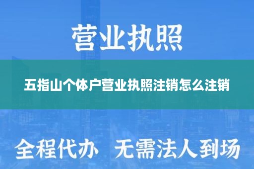 五指山个体户营业执照注销怎么注销