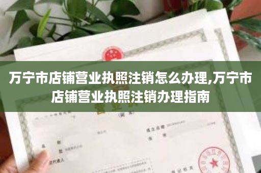 万宁市店铺营业执照注销怎么办理,万宁市店铺营业执照注销办理指南