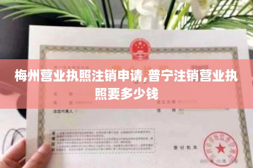 梅州营业执照注销申请,普宁注销营业执照要多少钱