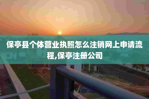 保亭县个体营业执照怎么注销网上申请流程,保亭注册公司