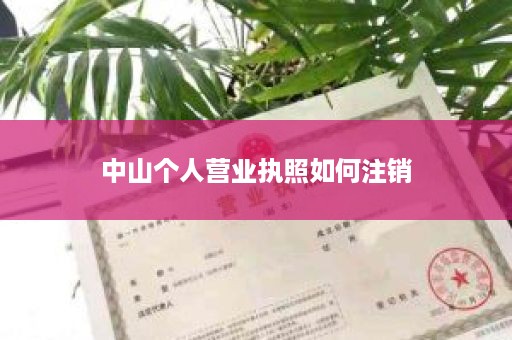 中山个人营业执照如何注销