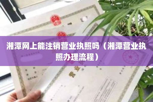 湘潭网上能注销营业执照吗（湘潭营业执照办理流程）