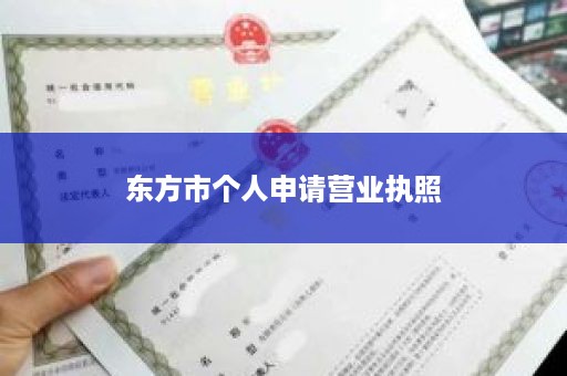 东方市个人申请营业执照