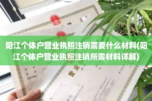 阳江个体户营业执照注销需要什么材料(阳江个体户营业执照注销所需材料详解)