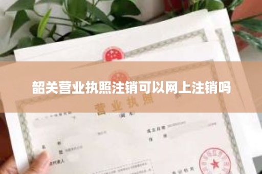韶关营业执照注销可以网上注销吗