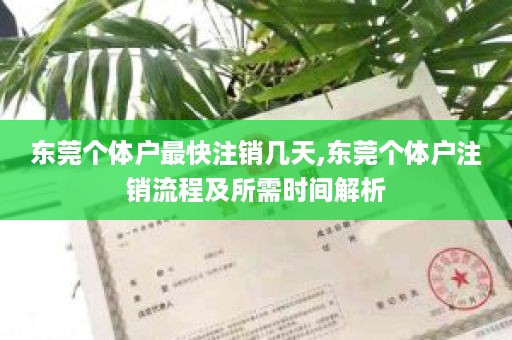 东莞个体户最快注销几天,东莞个体户注销流程及所需时间解析