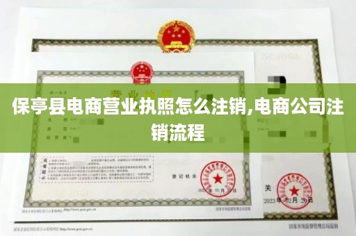 保亭县电商营业执照怎么注销,电商公司注销流程
