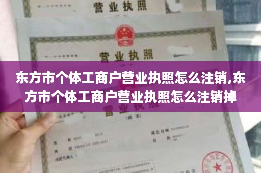东方市个体工商户营业执照怎么注销,东方市个体工商户营业执照怎么注销掉