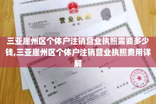 三亚崖州区个体户注销营业执照需要多少钱,三亚崖州区个体户注销营业执照费用详解