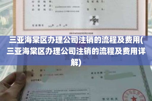 三亚海棠区办理公司注销的流程及费用(三亚海棠区办理公司注销的流程及费用详解)