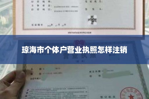 琼海市个体户营业执照怎样注销