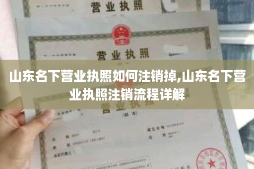 山东名下营业执照如何注销掉,山东名下营业执照注销流程详解