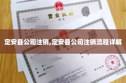 定安县公司注销,定安县公司注销流程详解