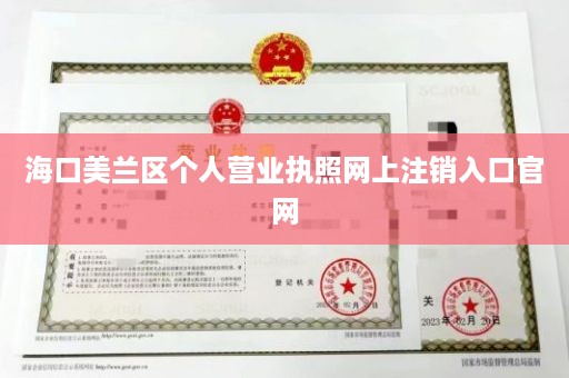 海口美兰区个人营业执照网上注销入口官网