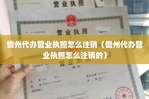 儋州代办营业执照怎么注销（儋州代办营业执照怎么注销的）