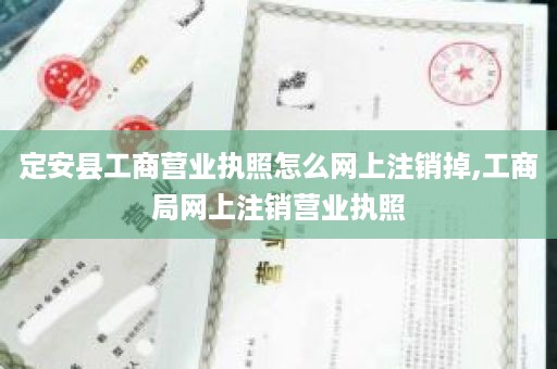 定安县工商营业执照怎么网上注销掉,工商局网上注销营业执照
