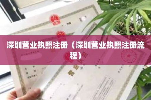 深圳营业执照注册（深圳营业执照注册流程）