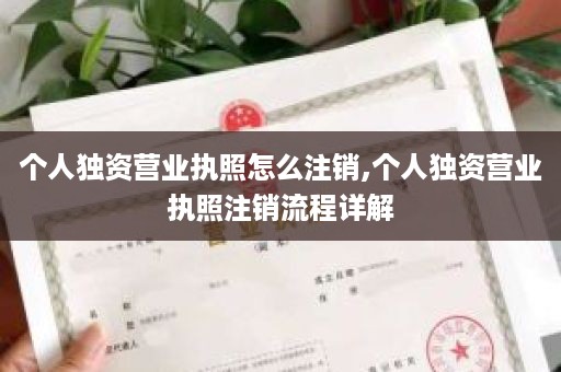 个人独资营业执照怎么注销,个人独资营业执照注销流程详解