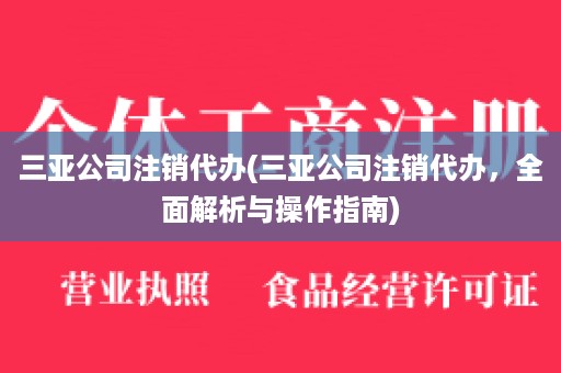 三亚公司注销代办(三亚公司注销代办，全面解析与操作指南)