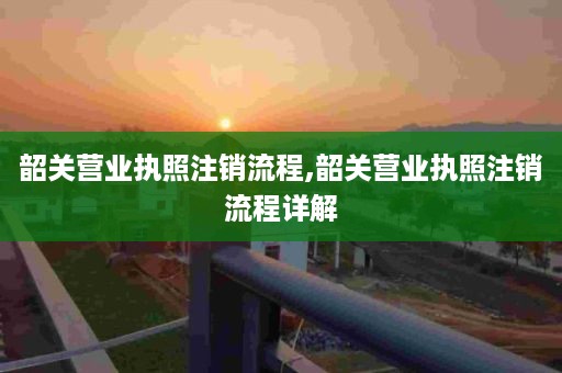 韶关营业执照注销流程,韶关营业执照注销流程详解