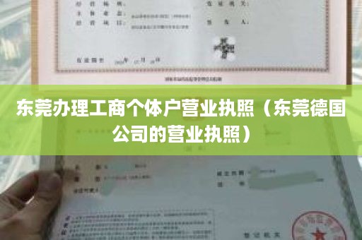 东莞办理工商个体户营业执照（东莞德国公司的营业执照）