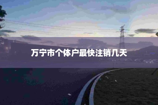 万宁市个体户最快注销几天