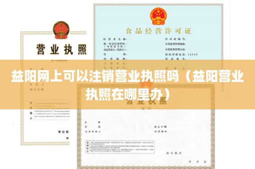 益阳网上可以注销营业执照吗（益阳营业执照在哪里办）