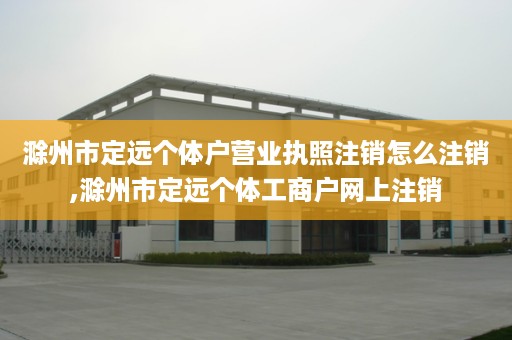 滁州市定远个体户营业执照注销怎么注销,滁州市定远个体工商户网上注销