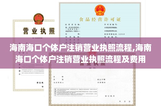 海南海口个体户注销营业执照流程,海南海口个体户注销营业执照流程及费用
