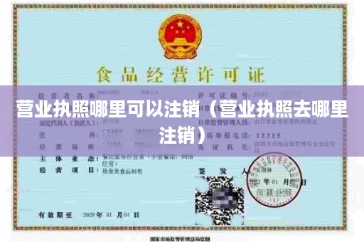 营业执照哪里可以注销（营业执照去哪里注销）