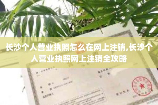 长沙个人营业执照怎么在网上注销,长沙个人营业执照网上注销全攻略