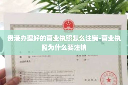 贵港办理好的营业执照怎么注销-营业执照为什么要注销