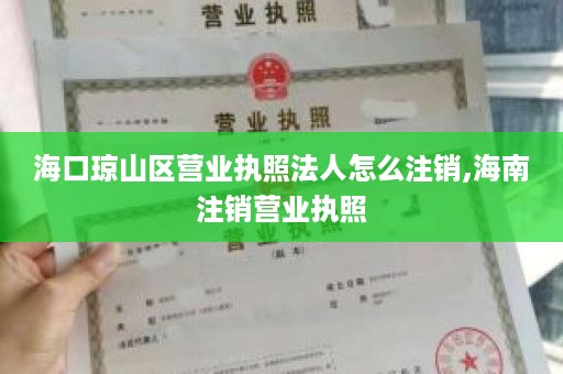 海口琼山区营业执照法人怎么注销,海南注销营业执照
