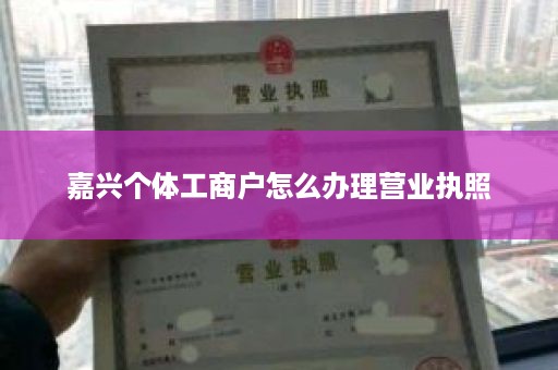 嘉兴个体工商户怎么办理营业执照