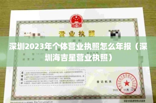 深圳2023年个体营业执照怎么年报（深圳海吉星营业执照）