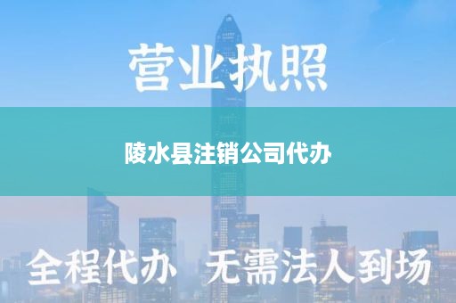 陵水县注销公司代办