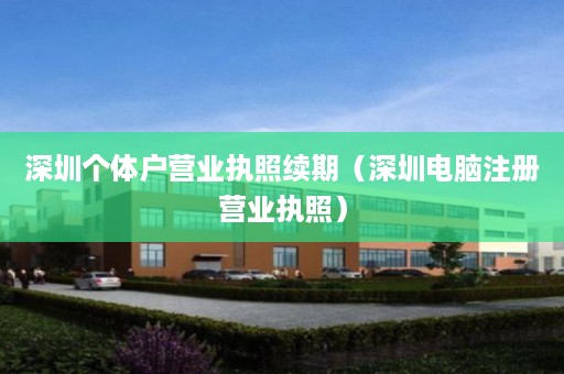 深圳个体户营业执照续期（深圳电脑注册营业执照）