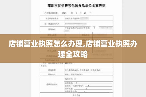店铺营业执照怎么办理,店铺营业执照办理全攻略