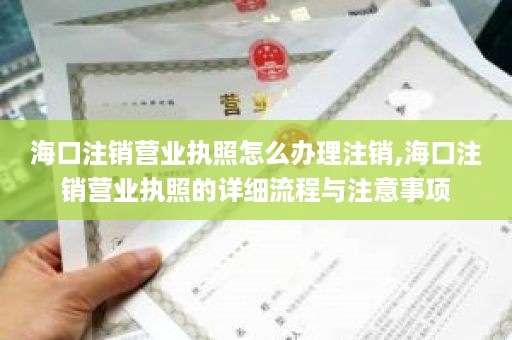 海口注销营业执照怎么办理注销,海口注销营业执照的详细流程与注意事项