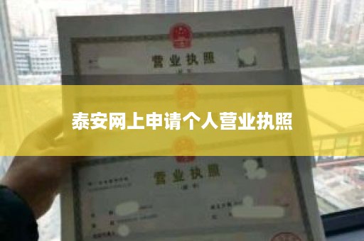 泰安网上申请个人营业执照