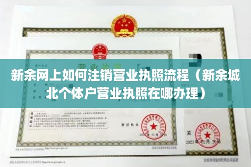 新余网上如何注销营业执照流程（新余城北个体户营业执照在哪办理）