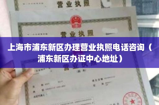 上海市浦东新区办理营业执照电话咨询（浦东新区办证中心地址）