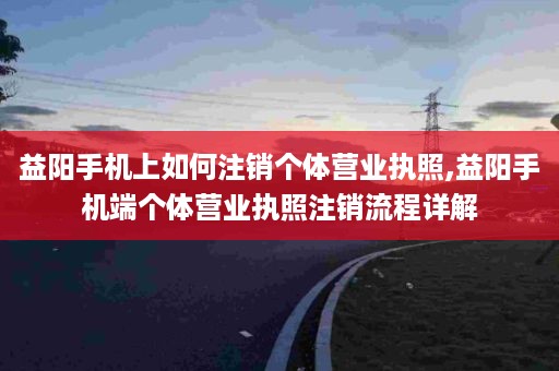 益阳手机上如何注销个体营业执照,益阳手机端个体营业执照注销流程详解