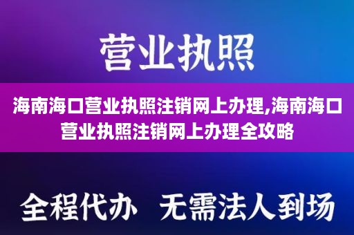 海南海口营业执照注销网上办理,海南海口营业执照注销网上办理全攻略
