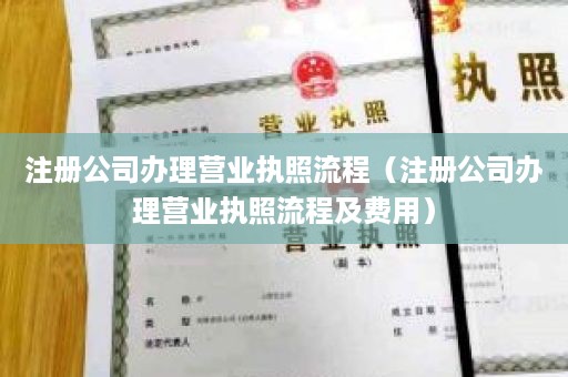 注册公司办理营业执照流程（注册公司办理营业执照流程及费用）