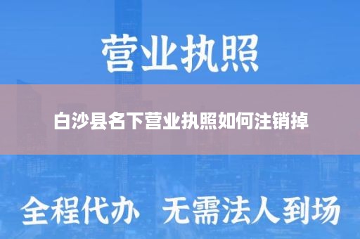 白沙县名下营业执照如何注销掉