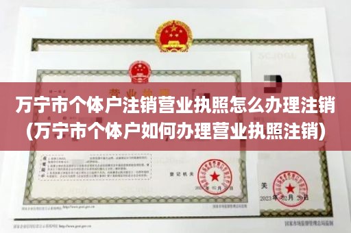 万宁市个体户注销营业执照怎么办理注销(万宁市个体户如何办理营业执照注销)