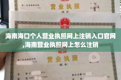 海南海口个人营业执照网上注销入口官网,海南营业执照网上怎么注销